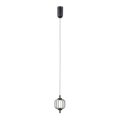 Pakabinamas šviestuvas Pedro LED 4W 3000K Matinė chromo (PND-34405-1-BK)