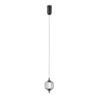 Pakabinamas šviestuvas Pedro LED 4W 3000K Matinė chromo (PND-34405-1-BK)