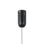 Pakabinamas šviestuvas Pedro LED 4W 3000K Matinė chromo (PND-34405-1-BK)