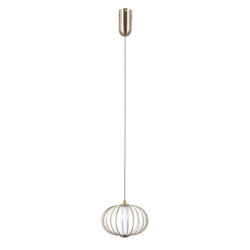 Pakabinamas šviestuvas Rabel LED 5W 3000K Aukso (PND-344221-1-HBR)