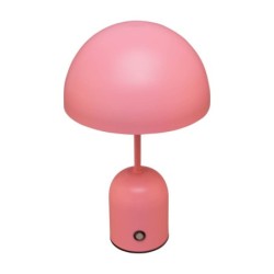 Stalinis šviestuvas Cantia LED 2W 3000, 6500K Rožinė (TB-75839-ROSE)