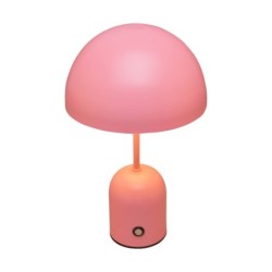 Stalinis šviestuvas Cantia LED 2W 3000, 6500K Rožinė (TB-75839-ROSE)
