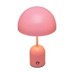 Stalinis šviestuvas Cantia LED 2W 3000, 6500K Rožinė (TB-75839-ROSE)