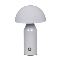 Stalinis šviestuvas Dorbia LED 2W 3000, 6500K Juoda Pilka (TB-83647-GR)