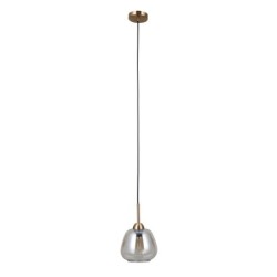 Pakabinamas šviestuvas Felis 1xE27 Aukso (PND-40824-1-GD)