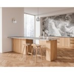 Pakabinamas šviestuvas Felis 1xE27 Aukso (PND-40824-1-GD)