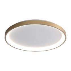 Lubinis šviestuvas Raden LED 50W 3000, 4000, 6000K Aukso (CLN-3151-M-GD)