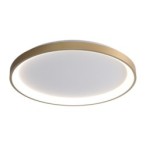 Lubinis šviestuvas Raden LED 50W 3000, 4000, 6000K Aukso (CLN-3151-M-GD)
