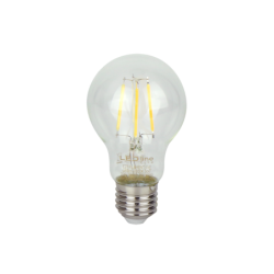 LED lemputė E27 4W 2700K 480lm 220-240V FILAMENT A60 GLOBE Šilta balta
