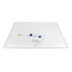 LED line PRIME LED panelė Backlit 25W 4000K 4000lm 595x595 Neutrali balta