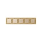 Penkių vietų LIVOLO stiklo panelė 7011111-63 (1+1+1+1+1) Aukso