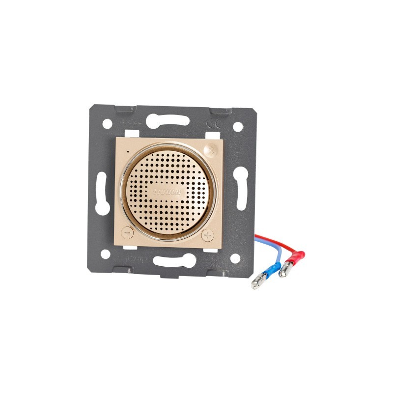 Bluetooth garso kolonėlė - Aukso