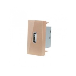 LIVOLO USB-A įkroviklis 5V 2.1A (užima pusė rėmelio) -Aukso