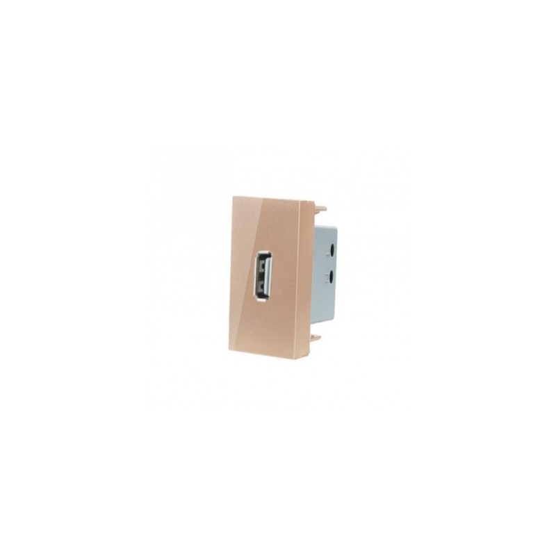 LIVOLO USB-A įkroviklis 5V 2.1A (užima pusė rėmelio) -Aukso