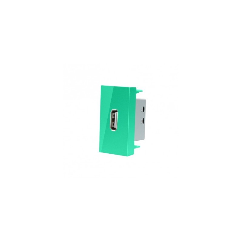 LIVOLO USB-A įkroviklis 5V 2.1A (užima pusė rėmelio) -Žalia