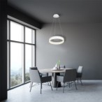 Pakabinamas šviestuvas RING 24W LED