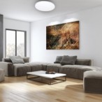 Lubinis šviestuvas SIENA 72W LED Ø550 mm