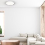Lubinis šviestuvas LAYLA 66W LED reguliuojamas + pultelis