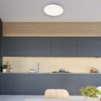 Lubinis šviestuvas CRUZ 66W LED reguliuojamas + pultelis