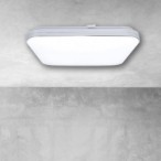 Lubinis šviestuvas PALERMO 40W LED reguliuojamas + pultelis