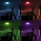 Lubinis šviestuvas NAOMI SMART Ø380 mm 24W LED