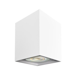 Paviršinio montavimo lubinis šviestuvas BIM Spot Square White