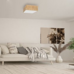 Lubinis šviestuvas CORK White/Cork 2xE27
