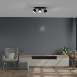 Lubinis šviestuvas DIXIE BLACK 3xGX53