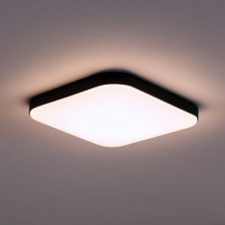 Lubinis šviestuvas NEMO JUODAS 17W LED