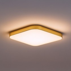 Lubinis šviestuvas NEMO GOLD 17W LED