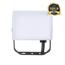 Prožektorius LED 10W 950lm 5000K