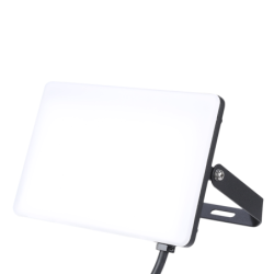 Prožektorius LED 50W 5000lm 5000K