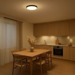 Lubinis šviestuvas Slimi 24W 4000K JUODA