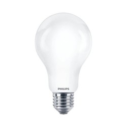 10x LED lemputė LED E27 13W 2700K A67 (2vnt.)