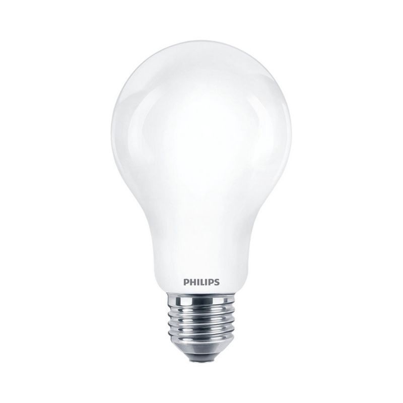 10x LED lemputė LED E27 13W 2700K A67 (2vnt.)