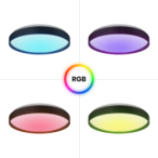 Lubinis šviestuvas RINGO RGB 36W  Ø390 mm