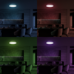 Lubinis šviestuvas RINGO RGB 36W  Ø390 mm