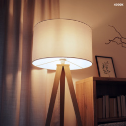 10x LED lemputė LED 7W E27 C37 4000K