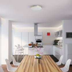 Lubinis šviestuvas BEVER 10W LED IP44 Ø260 mm