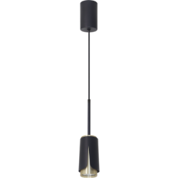 Pakabinamas šviestuvas FLOWER Juoda Auksas 1xGU10