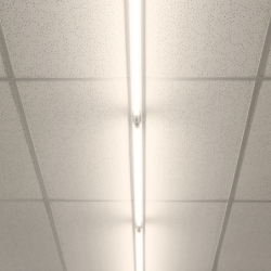 25x LED lempa T8 G13 PREMIUM LED 6.5W 900lm 3000K 60cm 5 m. garantija