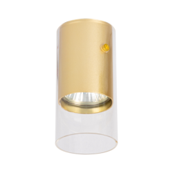 Lubinis šviestuvas Ricky Downlight Auksinė 1xGU10