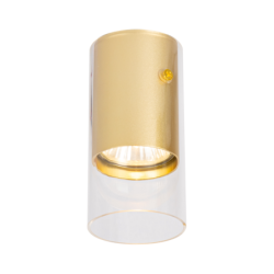 Lubinis šviestuvas Ricky Downlight Auksinė 1xGU10