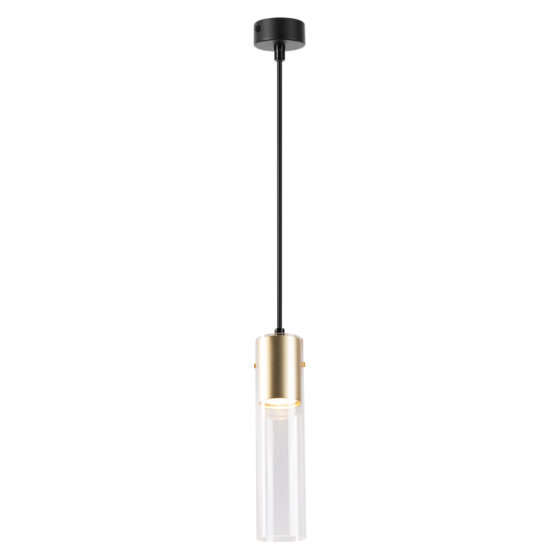 Pakabinamas šviestuvas Ricky Auksinė 1xGU10