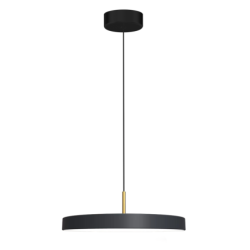 Pakabinamas šviestuvas DISC 38W LED