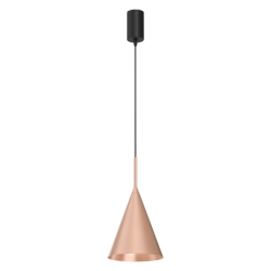 Pakabinamas šviestuvas CAPITAL ROSE Auksas Ø17cm 1xGX53