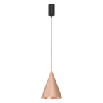 Pakabinamas šviestuvas CAPITAL ROSE Auksas Ø17cm 1xGX53
