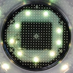 Šviečiantis LED indas  RGB 23cm IP44 su keičiamomis baterijomis