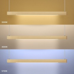 Pakabinamas šviestuvas LINEA Auksas 36W LED 3000K-4000K-5700K