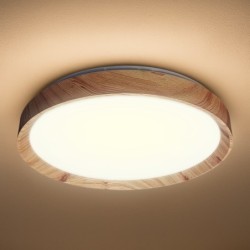 Lubinis šviestuvas Lubinis šviestuvas ORINOKO 36W LED Ø480 4000K